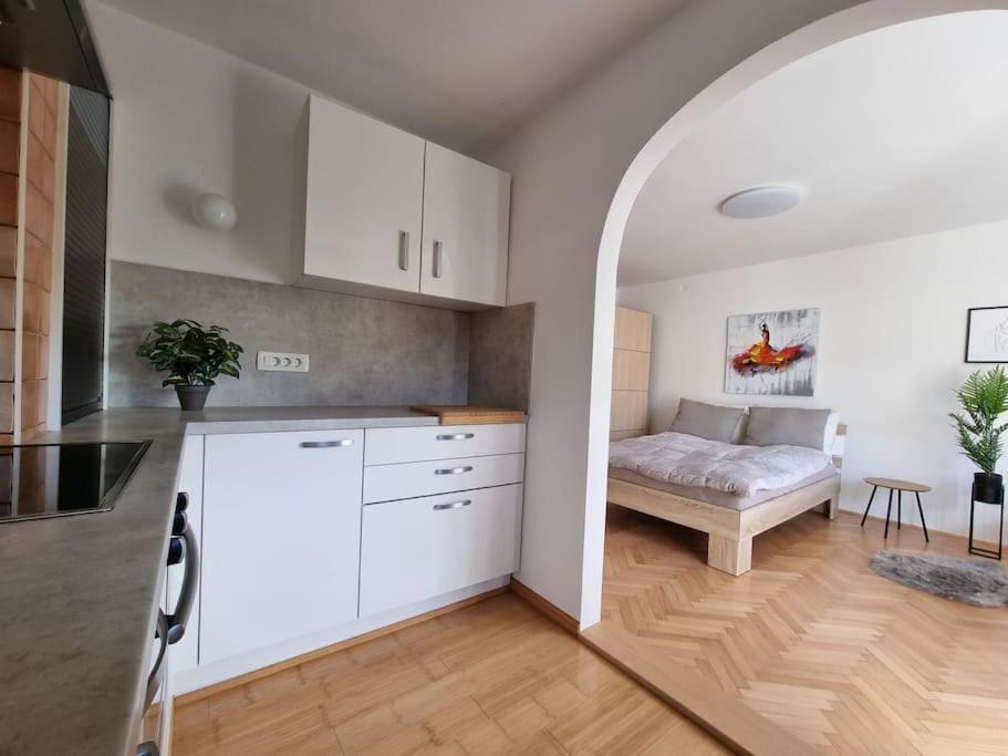 The Rowhouse Apartment Ljubljana - Free Parking Ngoại thất bức ảnh