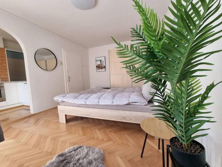 The Rowhouse Apartment Ljubljana - Free Parking Ngoại thất bức ảnh